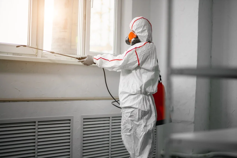 Professional mold remediation services in West Salem, WI